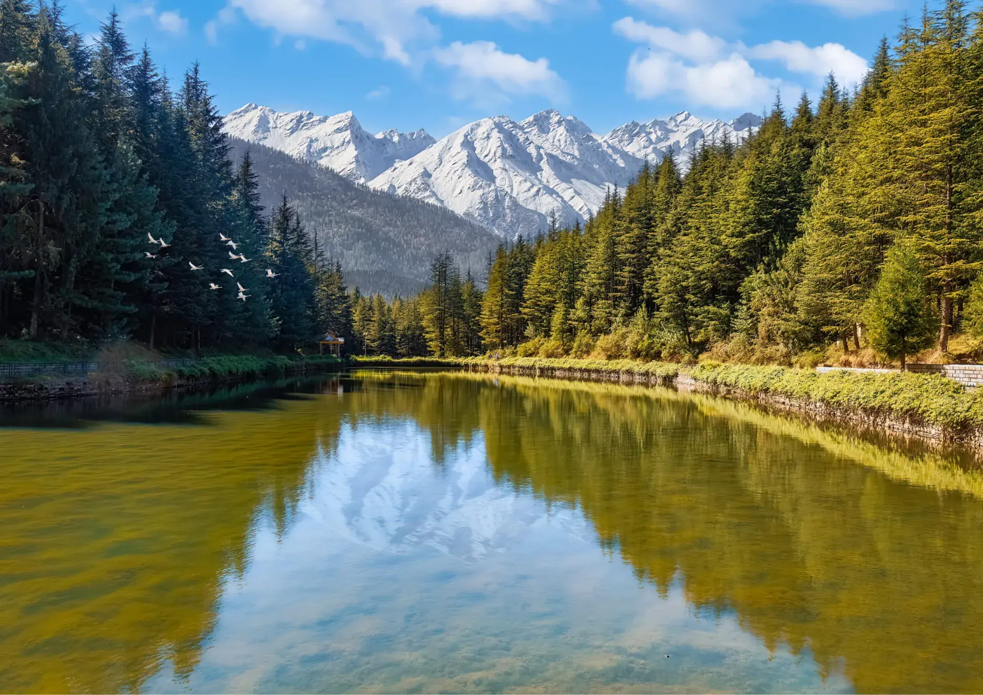 Escape Stayz Narkanda Landscape