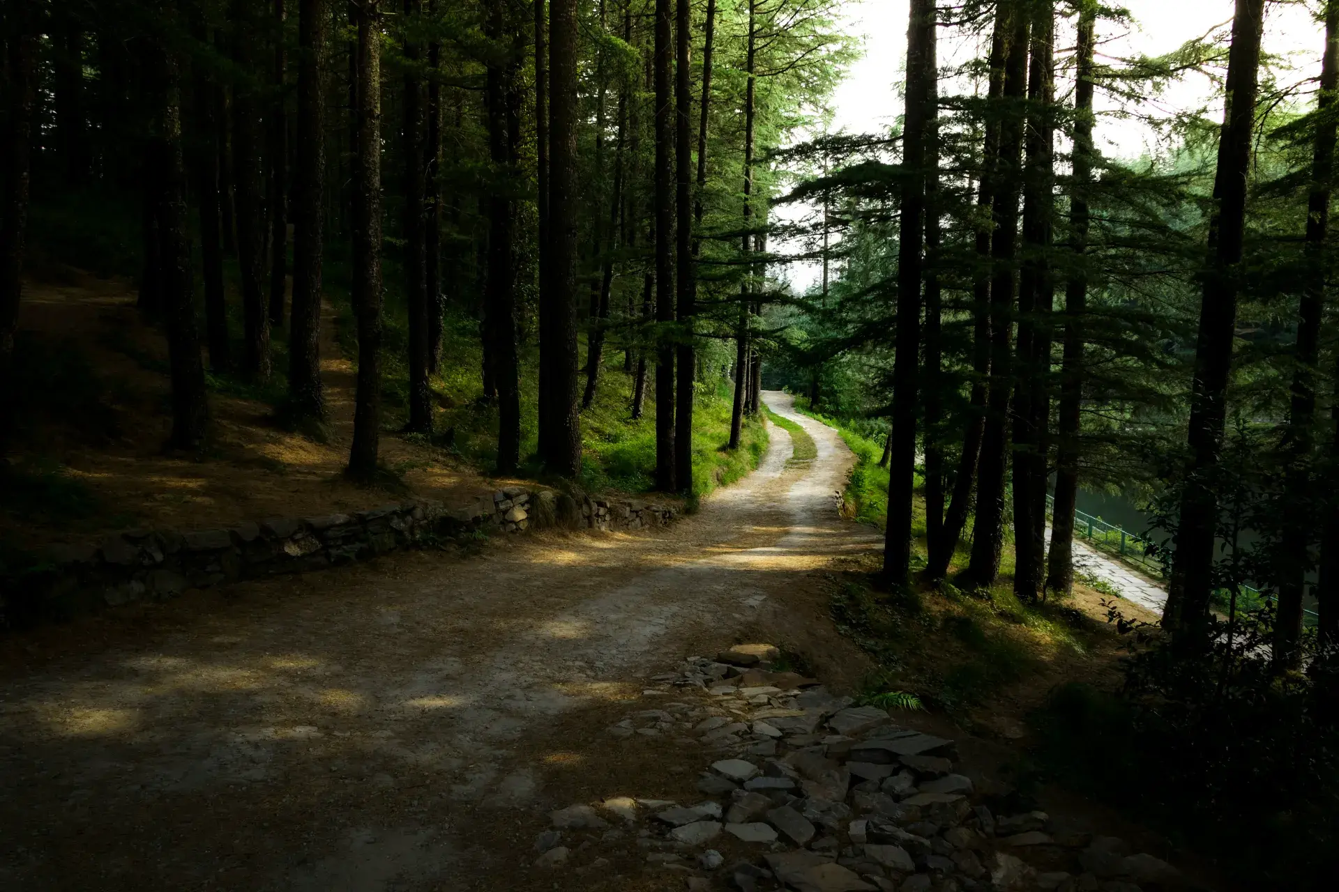 Escape Stayz Narkanda Landscape