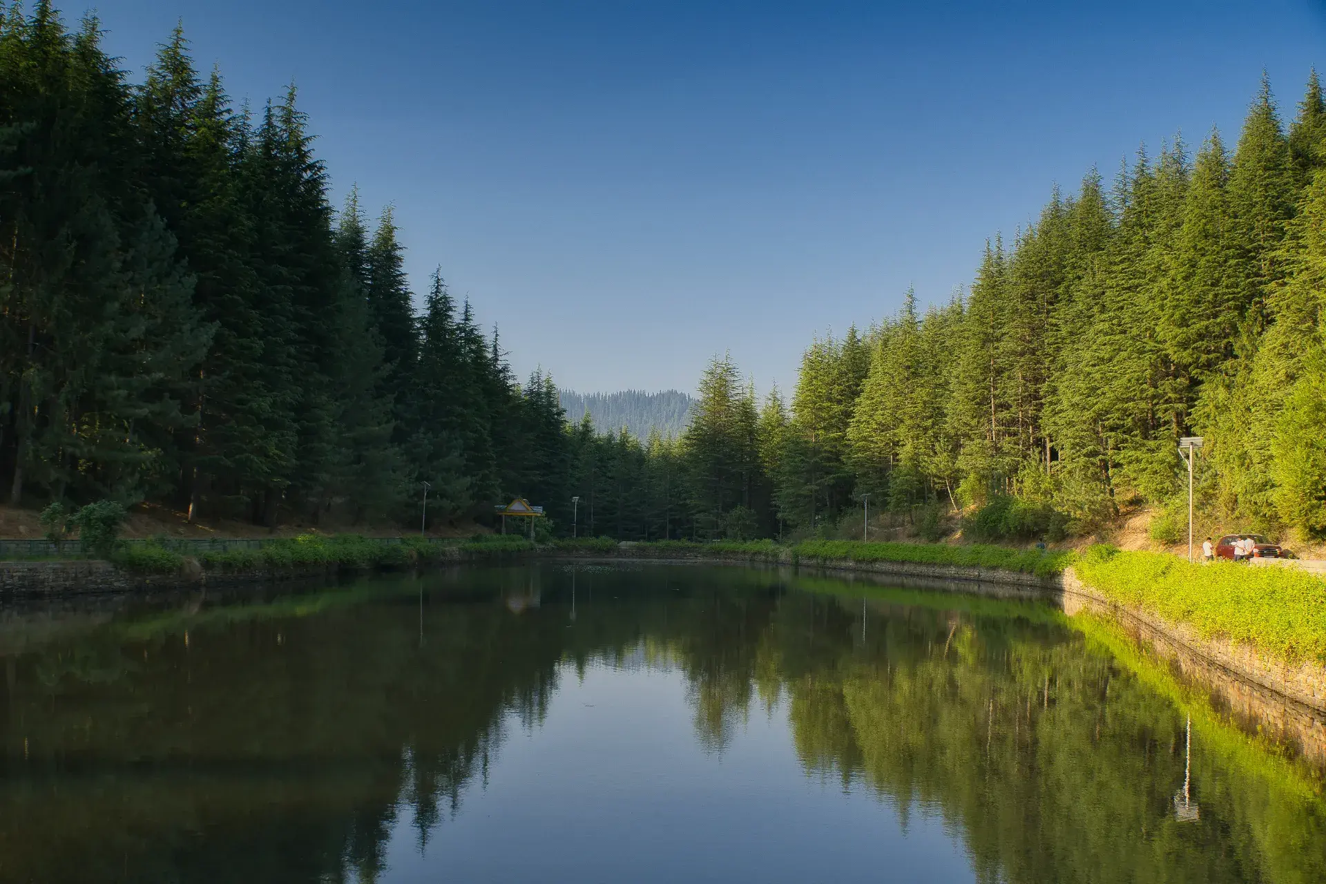 Escape Stayz Narkanda Landscape