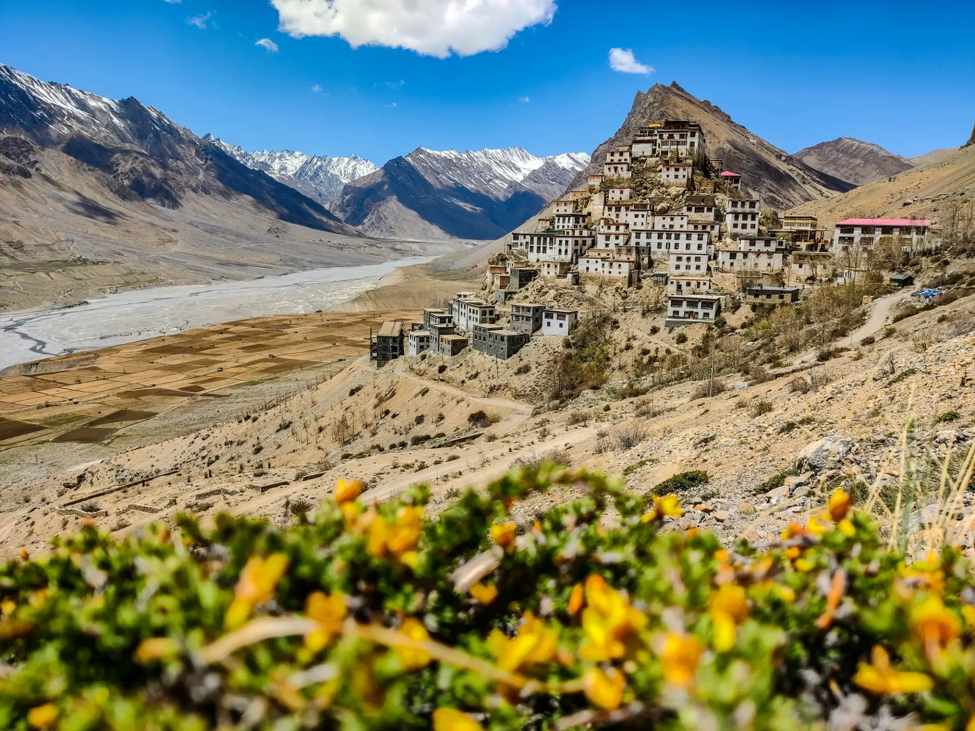 Escape Stayz Spiti Landscape