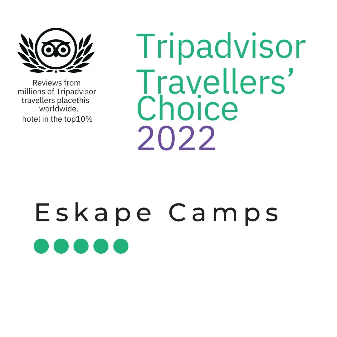 Tripadvisor Travellers Choice Award